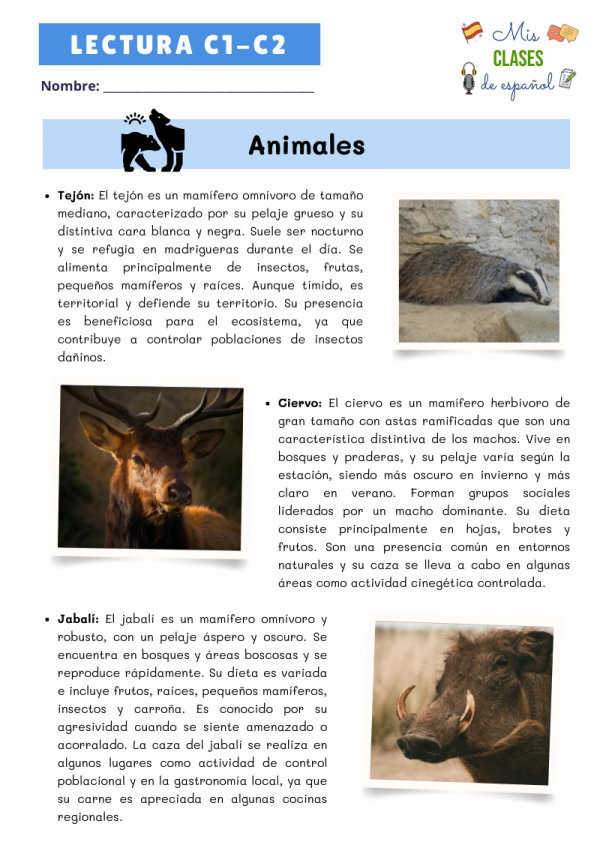 Comprensión lectora C1-C2 - Imagen 2